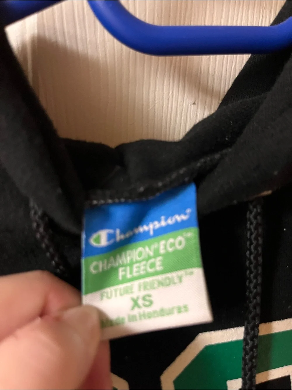 FGCU champion Hoodie with Green Lettering and Eagle Logo